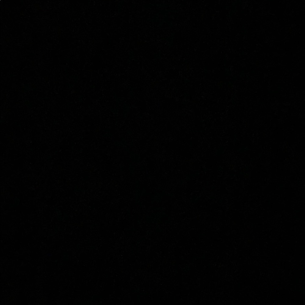 Meet your Posher, Delaney